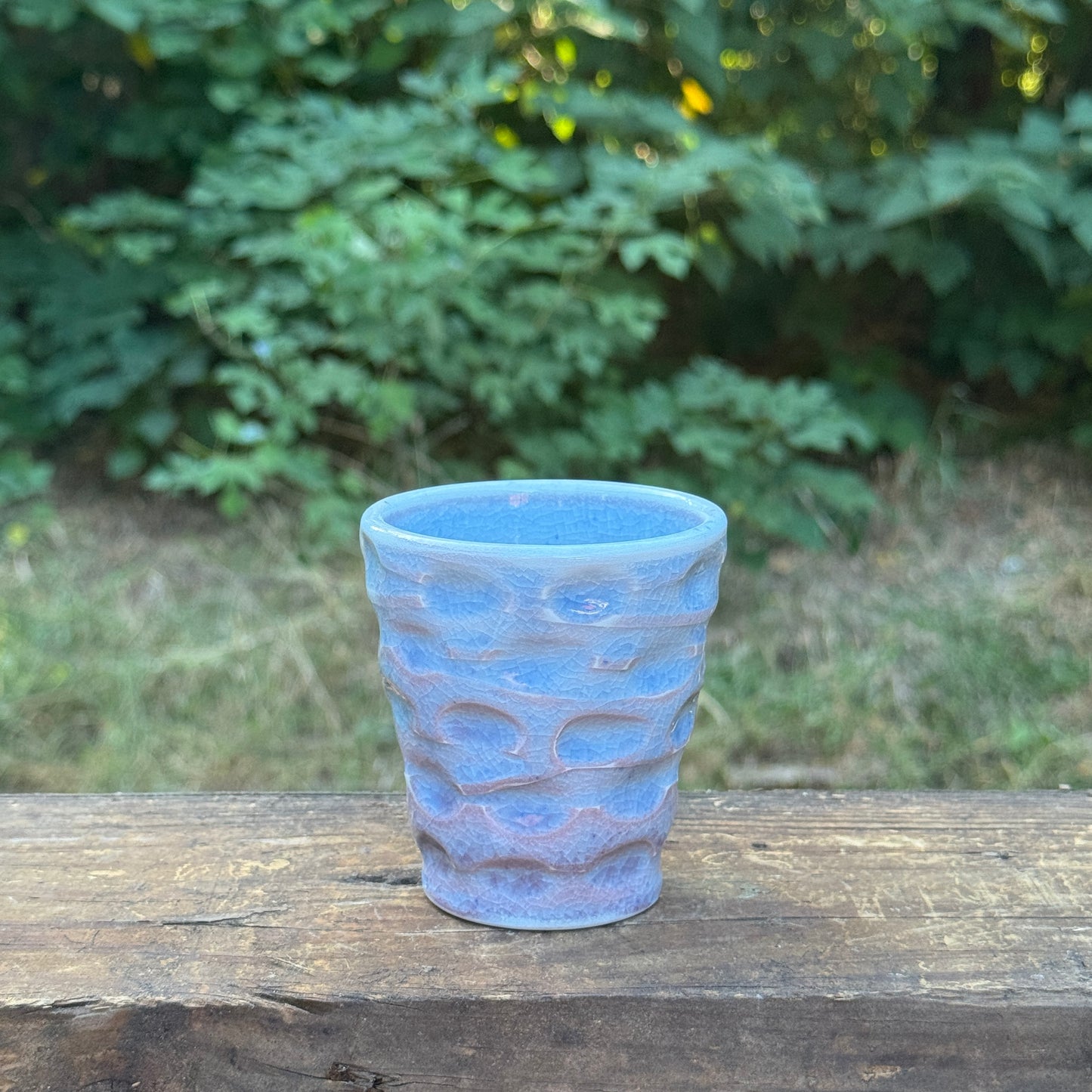 cup-25-22