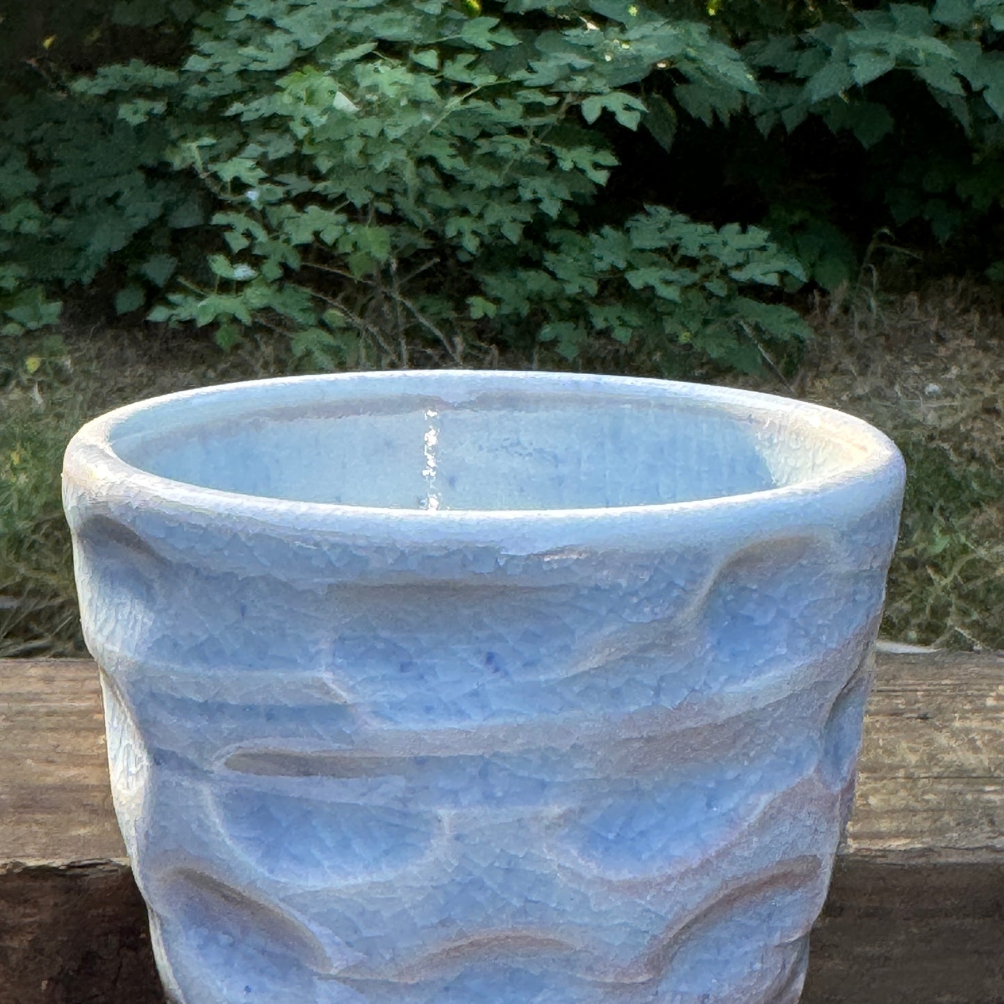cup-25-22