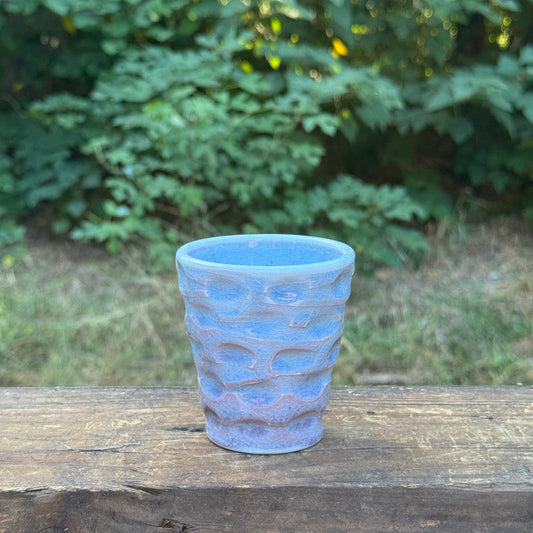 cup-25-22