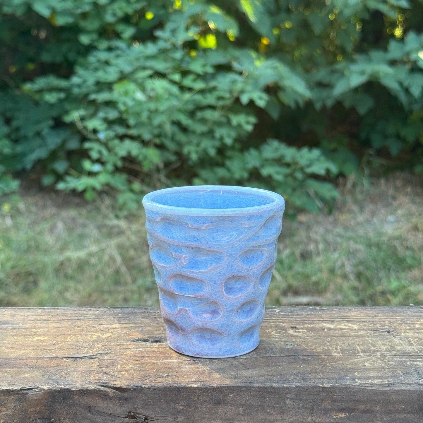 cup-25-22